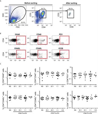 Autologous blood extracellular vesicles and specific CD4+ T-cell co-activation